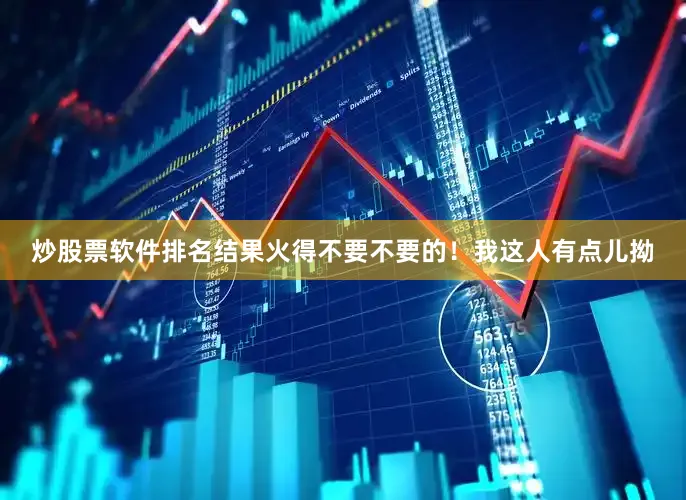 炒股票软件排名结果火得不要不要的！我这人有点儿拗