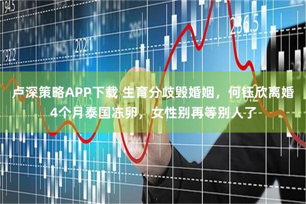 卢深策略APP下载 生育分歧毁婚姻，何钰欣离婚4个月泰国冻卵，女性别再等别人了